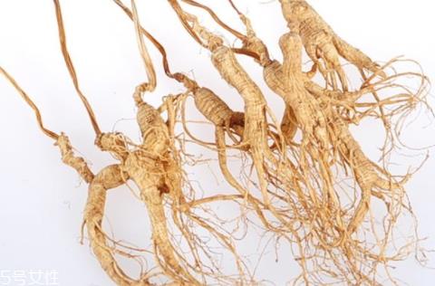 野山参能泡酒吗 泡酒方法