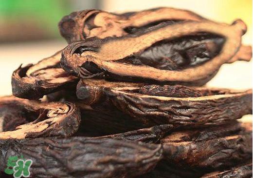 槟榔不能和什么一起吃？槟榔和什么不能一起吃？