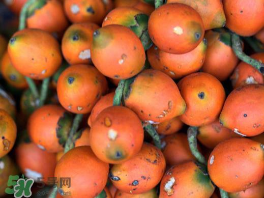 槟榔不能和什么一起吃？槟榔和什么不能一起吃？