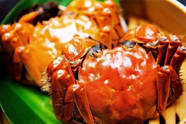 大闸蟹可以放冰箱冷鲜保存吗 大闸蟹死亡多久就不能吃了 大闸蟹可以放冰箱冷鲜保存吗 大闸蟹死亡多久就不能吃了