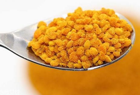 蜂花粉能放多久 常温可以保存1-2年 蜂花粉能放多久 常温可以保存1-2年