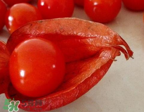 红姑娘皮泡水治咽炎吗?红姑娘皮泡水的副作用 红姑娘皮泡水治咽炎吗?红姑娘皮泡水的副作用