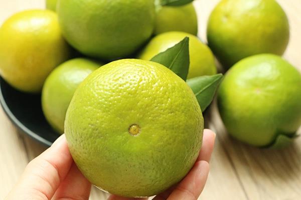 皇帝柑吃了会胖吗 适量吃没问题 皇帝柑吃了会胖吗 适量吃没问题