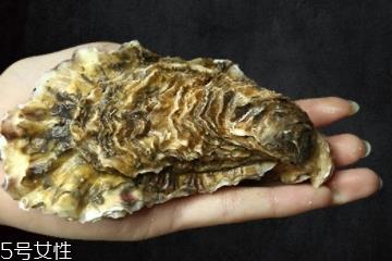 生蚝有内脏吗?生蚝的内脏能吃吗? 生蚝有内脏吗?生蚝的内脏能吃吗?