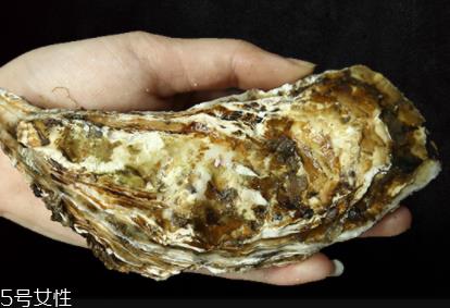 生蚝有内脏吗?生蚝的内脏能吃吗? 生蚝有内脏吗?生蚝的内脏能吃吗?