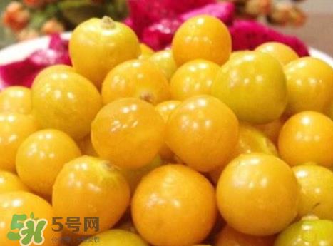 姑娘果不能和什么一起吃？姑娘果哪些人不能吃？