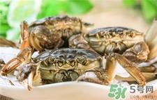 冬笋可以和螃蟹一起吃吗?吃冬笋可以吃螃蟹吗? 冬笋可以和螃蟹一起吃吗?吃冬笋可以吃螃蟹吗?