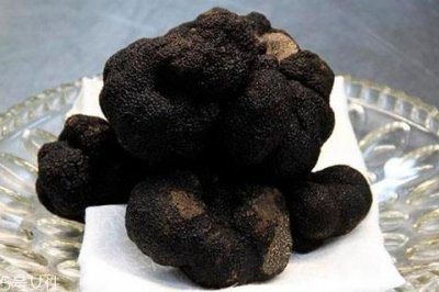 ​黑松露可以保存多久 依据保存的方法而定