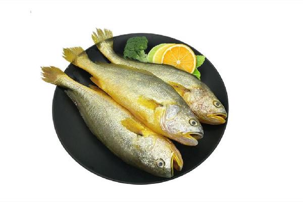 黄花鱼是海鱼还是淡水鱼 黄花鱼属于海鲜吗