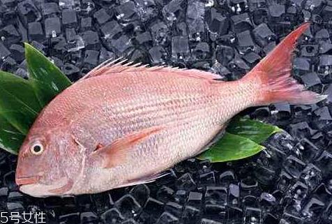 加吉鱼可以生吃吗 加吉鱼生吃有什么好处 加吉鱼可以生吃吗 加吉鱼生吃有什么好处