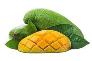 桂七芒果多少钱一斤 桂七芒果产地