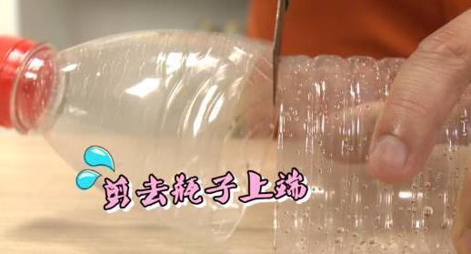 废弃饮料瓶+鞋盒自制捕蟑螂神器,就能让小强无处可逃!