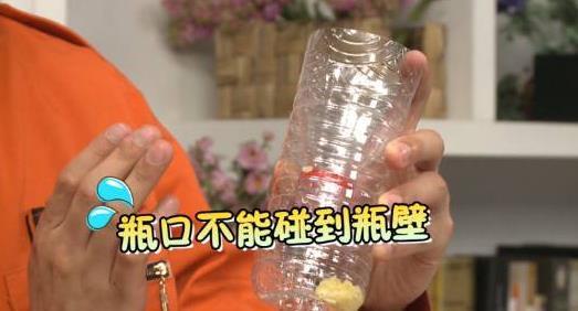 废弃饮料瓶+鞋盒自制捕蟑螂神器,就能让小强无处可逃!