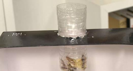 废弃饮料瓶+鞋盒自制捕蟑螂神器,就能让小强无处可逃!