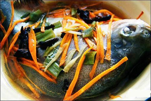 荒废野塘钓到食人鱼，本性凶猛，手指都差点被咬断！