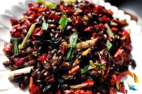 但是你敢吃吗？这个虽然贵，