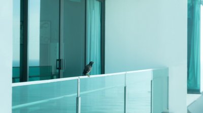 清晨起来打开窗,阳光美美哒。