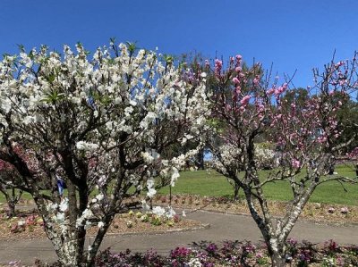 ​CWUR世界大学排行榜揭晓  墨尔本大学名列第57位