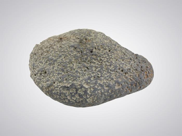 三大陨石之一石陨石