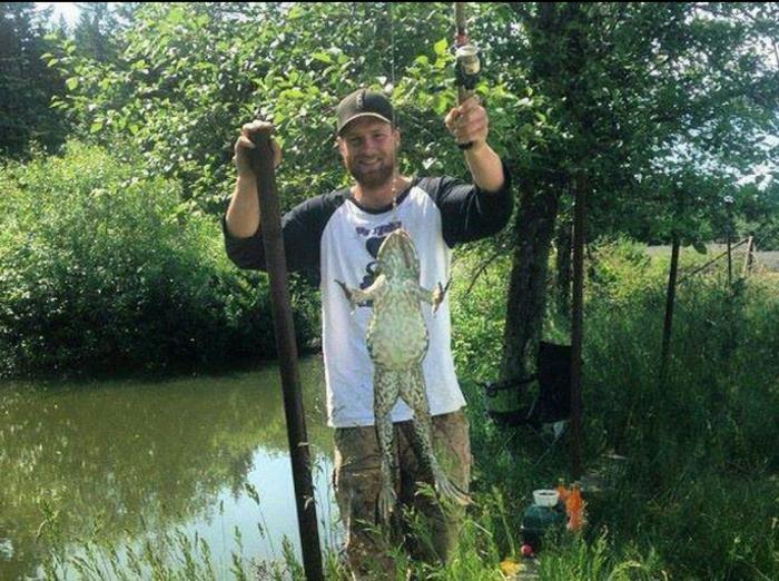 美洲牛蛙泛滥，美国人很闹心，中国吃货却操碎了心！