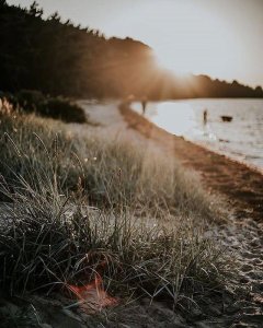 ​世事一场大梦，人生几度秋凉。