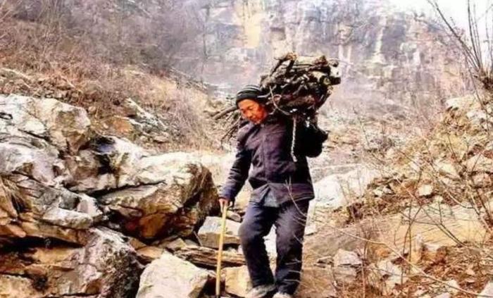 大爷上山捡柴烧火,却捡到一奇怪石头,回家后都围着它观看!