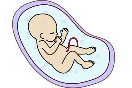 三张图告诉你：怀孕前三个月宝宝长啥样，真是天然的可爱萌