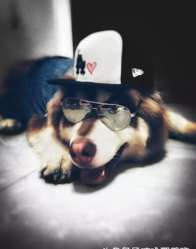 个性又搞笑的微信、QQ头像，请收藏好了！