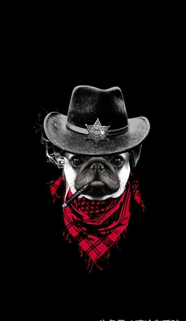 个性又搞笑的微信、QQ头像，请收藏好了！