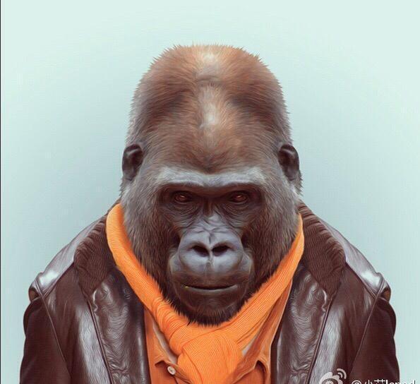 个性又搞笑的微信、QQ头像，请收藏好了！