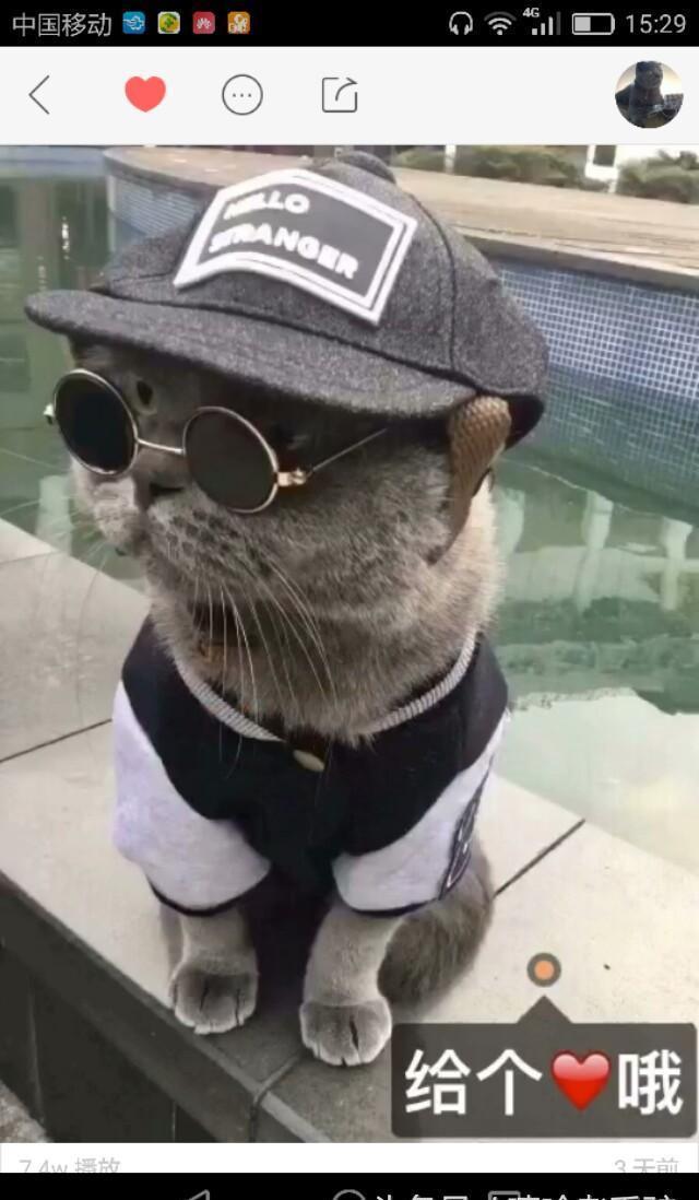 个性又搞笑的微信、QQ头像，请收藏好了！