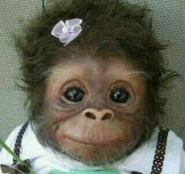 个性又搞笑的微信、QQ头像，请收藏好了！