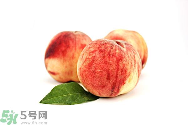 吃桃子会长胖吗?桃子吃多了会长胖吗? 吃桃子会长胖吗?桃子吃多了会长胖吗?