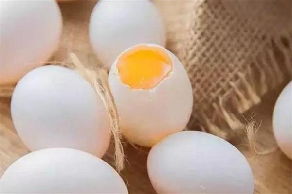 鸽子蛋是凉性的吗 鸽子蛋属性介绍 鸽子蛋是凉性的吗 鸽子蛋属性介绍