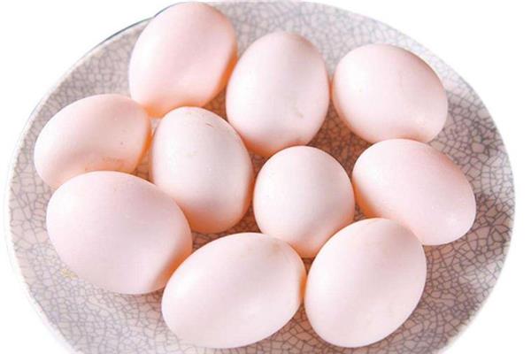 鸽子蛋是凉性的吗 鸽子蛋属性介绍 鸽子蛋是凉性的吗 鸽子蛋属性介绍