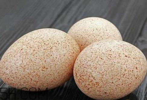 火鸡蛋多少钱一个 火鸡蛋多少钱一斤 火鸡蛋多少钱一个 火鸡蛋多少钱一斤