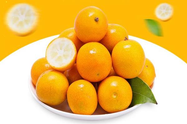 金桔的糖分高吗 金桔糖尿病人可以吃吗 金桔的糖分高吗 金桔糖尿病人可以吃吗