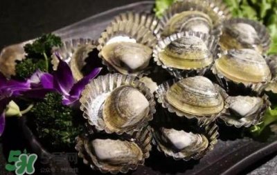 ​死蚬子怎么去沙子？蚬子死了一宿还能吃吗