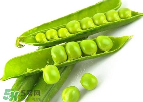 豌豆怎么保存?豌豆的保存方法 豌豆怎么保存?豌豆的保存方法