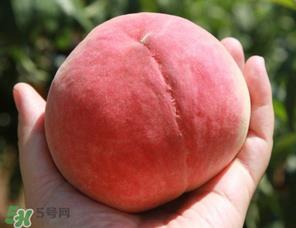 毛桃热量高吗？一个毛桃的热量