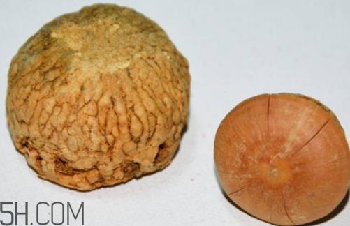 风流果可以泡酒吗 风流果怎么泡酒