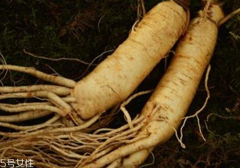 新鲜人参多少钱一斤 价格相差很大 新鲜人参多少钱一斤 价格相差很大