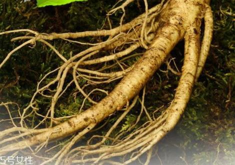 新鲜人参多少钱一斤 价格相差很大 新鲜人参多少钱一斤 价格相差很大