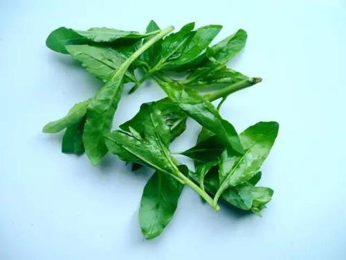 青刺尖煎饼怎么做好吃 青刺尖可以清炒吗 青刺尖煎饼怎么做好吃 青刺尖可以清炒吗