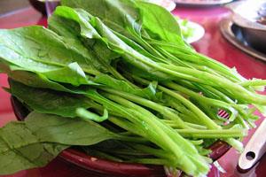 青刺尖煎饼怎么做好吃 青刺尖可以清炒吗 青刺尖煎饼怎么做好吃 青刺尖可以清炒吗