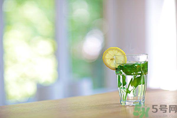 薄荷晒干泡茶有什么好处?薄荷晒干泡水的功效 薄荷晒干泡茶有什么好处?薄荷晒干泡水的功效