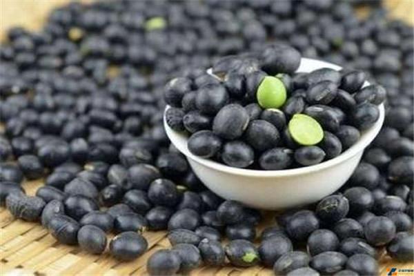 醋泡黑豆用什么醋最好 醋泡黑豆的功效 醋泡黑豆用什么醋最好 醋泡黑豆的功效