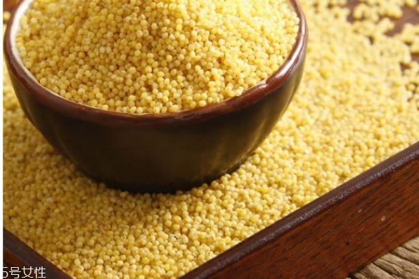 小米有什么营养价值呢 小米是凉性的食物吗 小米有什么营养价值呢 小米是凉性的食物吗