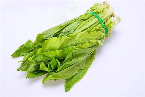 油麦菜炒出来怎么是苦的 油麦菜怎么做好吃