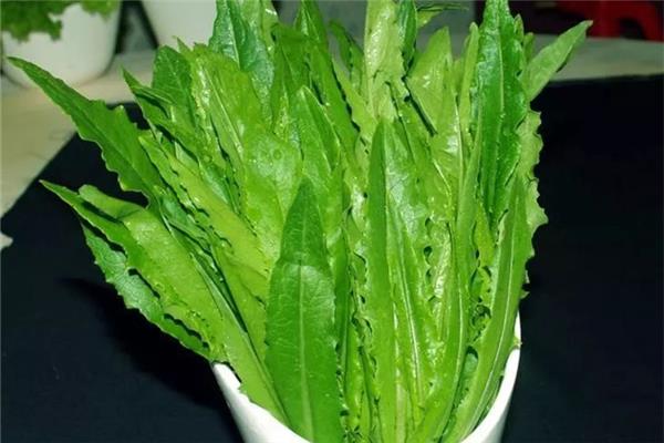 油麦菜炒出来怎么是苦的 油麦菜怎么做好吃